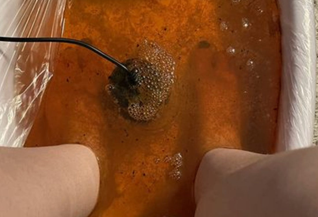 VnioLife Ionic Foot Bath Reviews, Features & Alternatives: Does This Detox Machine Actually Work?