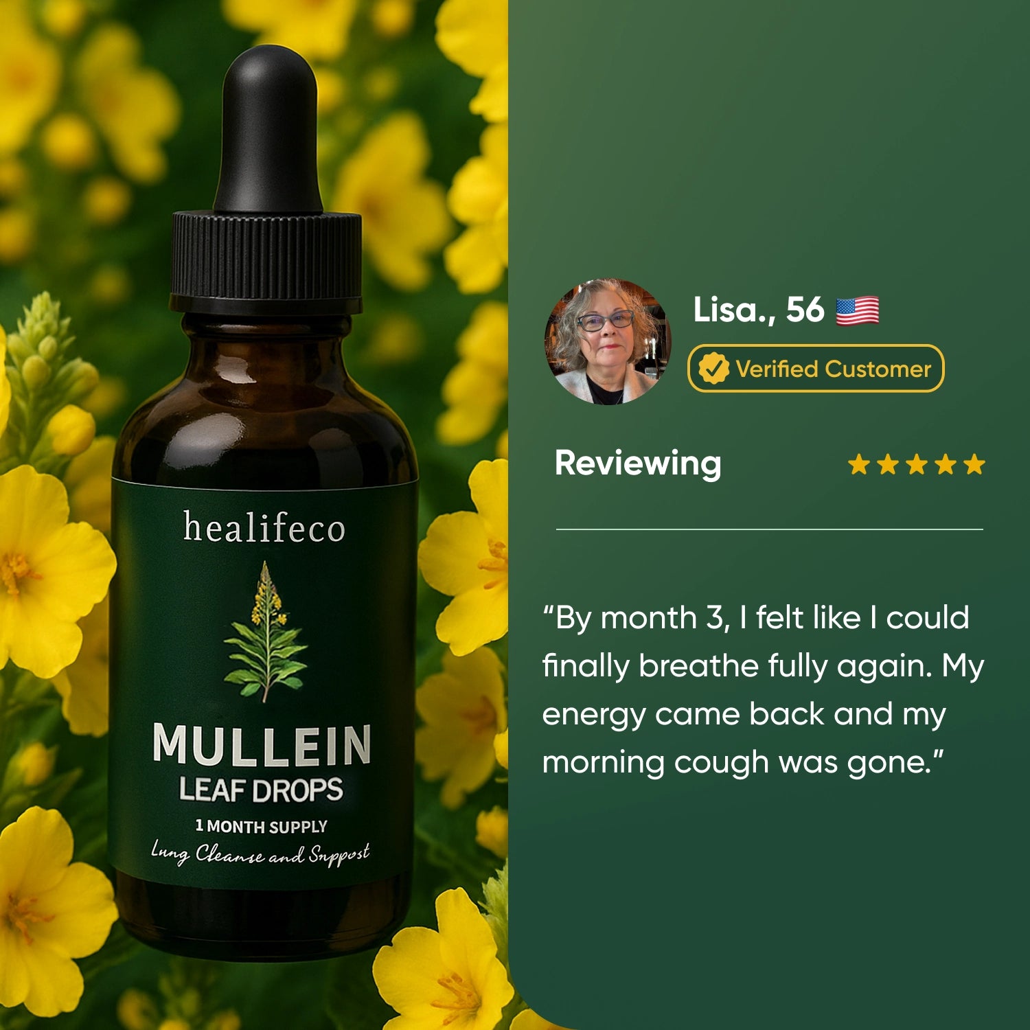 Healifeco Mullein Leaf Drops