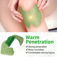 Load image into Gallery viewer, Healifeco Natural Knee Patch