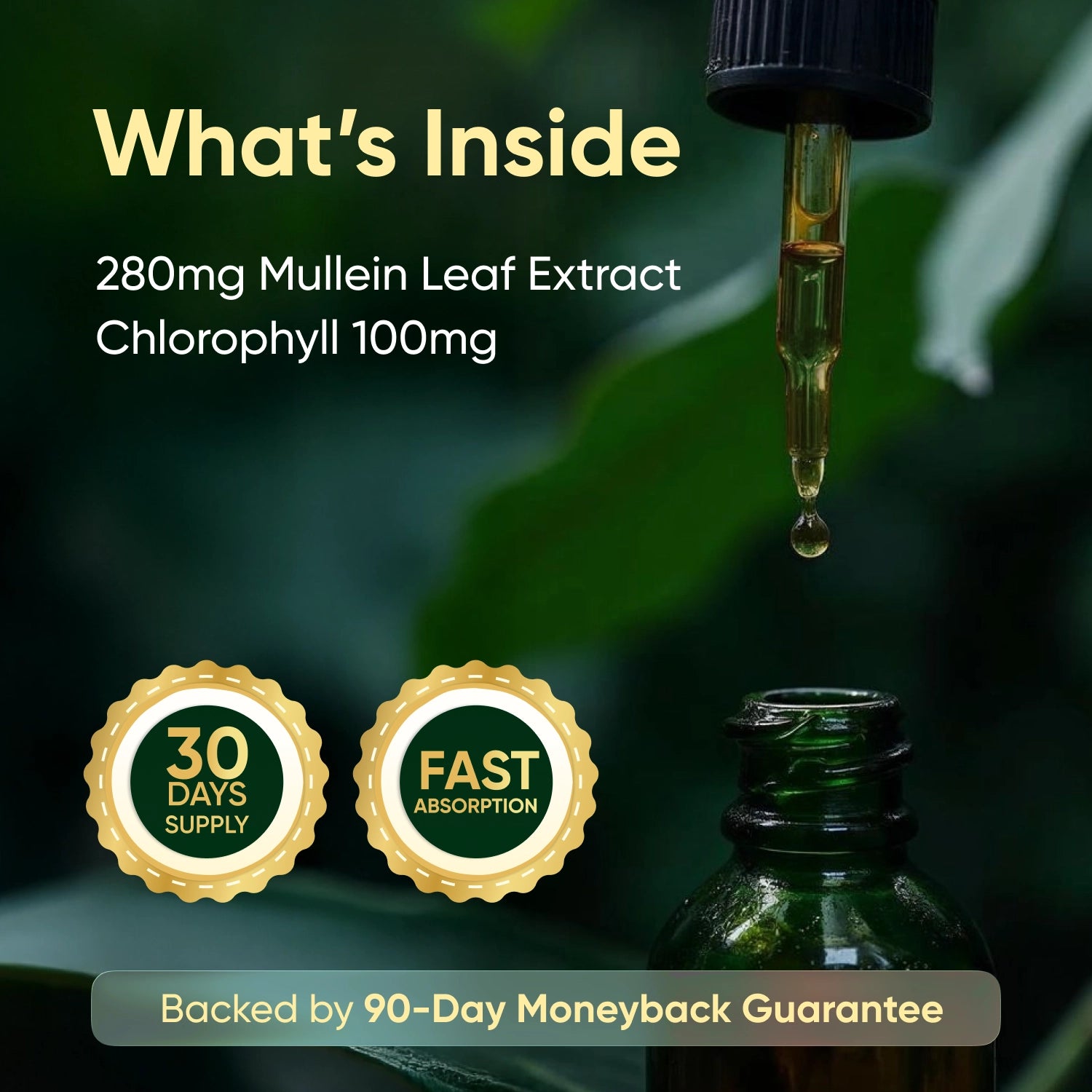 Healifeco Mullein Leaf Drops