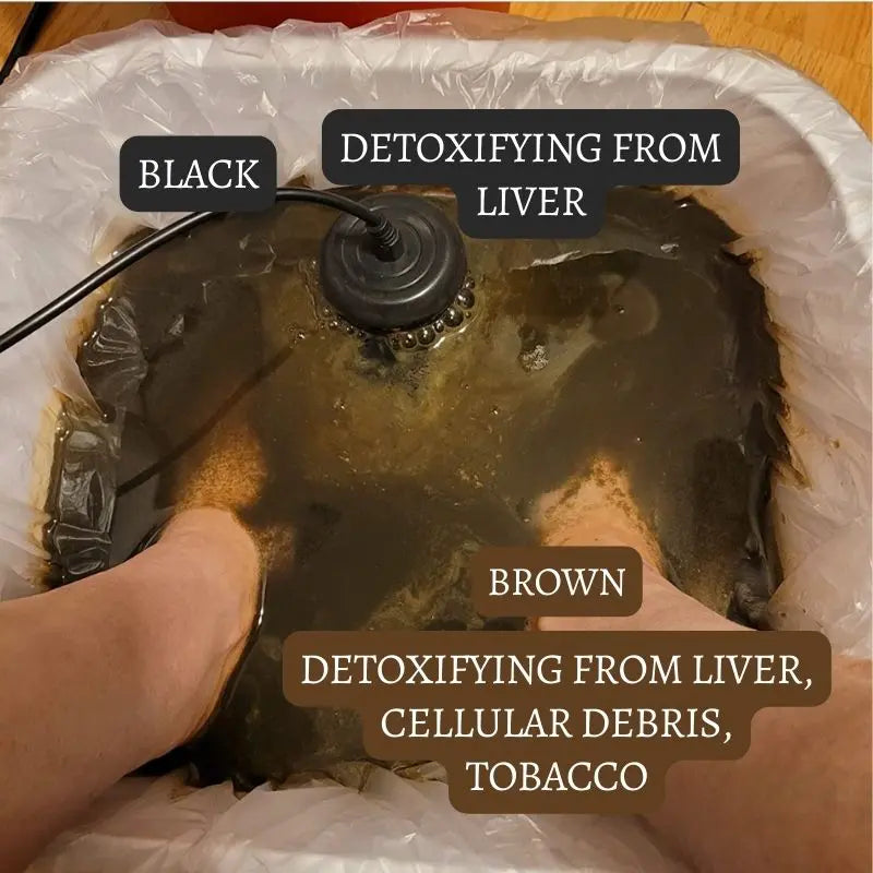 Healifeco Ionic Foot Spa | Remove Toxins and Heavy Metals for a Healthier Life (TEST)