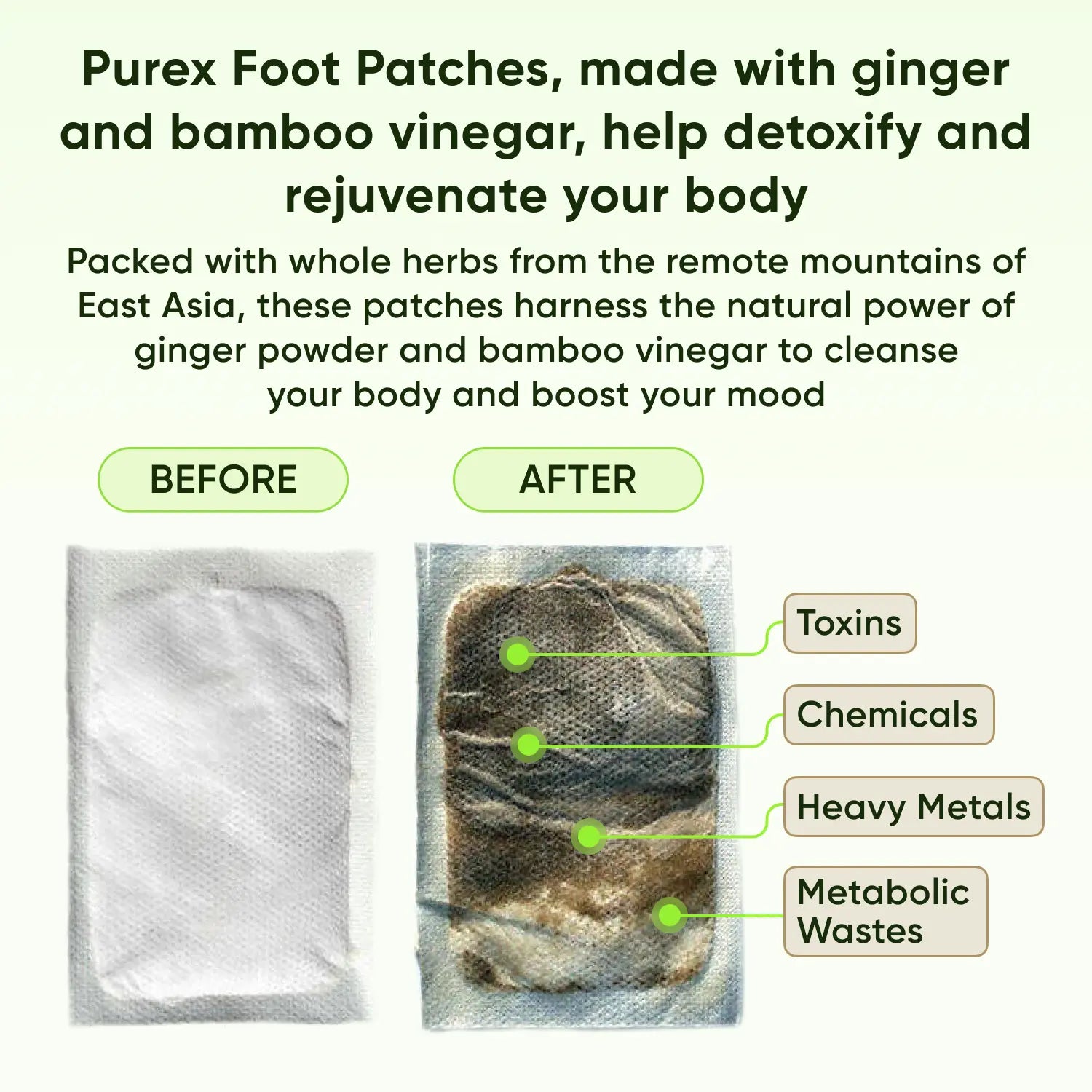 Healifeco Purex - Foot Patches | Clear Harmful Toxins for a Healthier Life