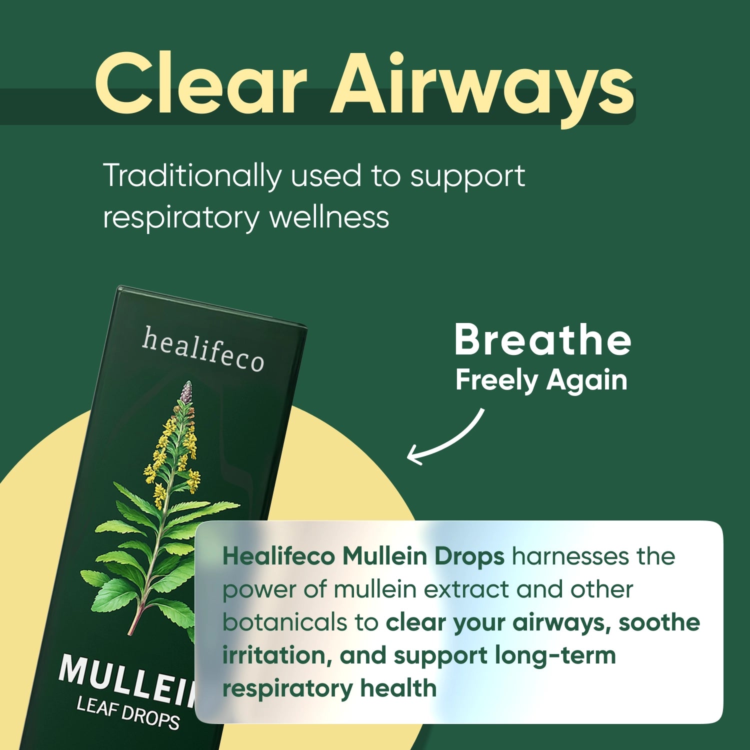 Healifeco Mullein Leaf Drops