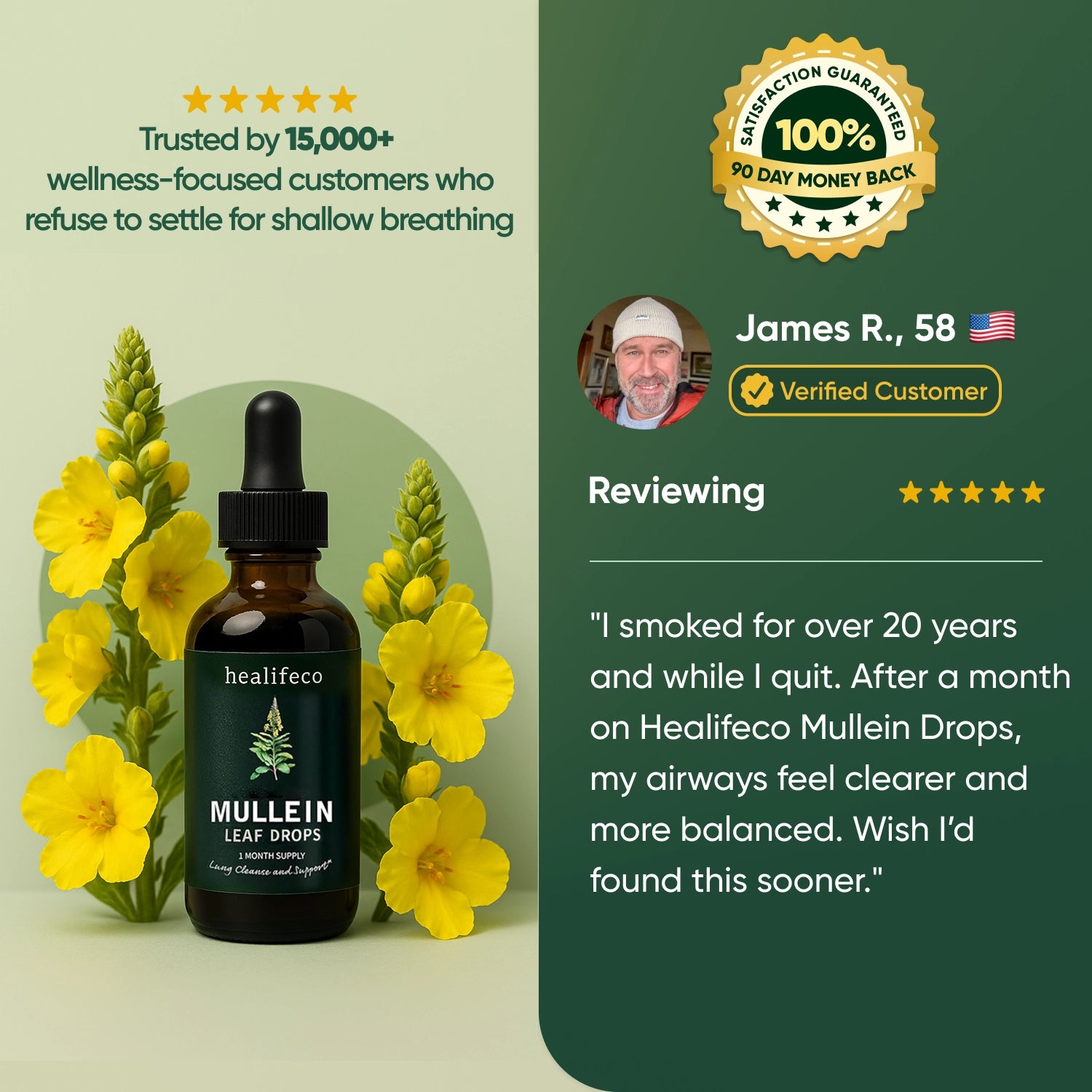 Healifeco Mullein Leaf Drops