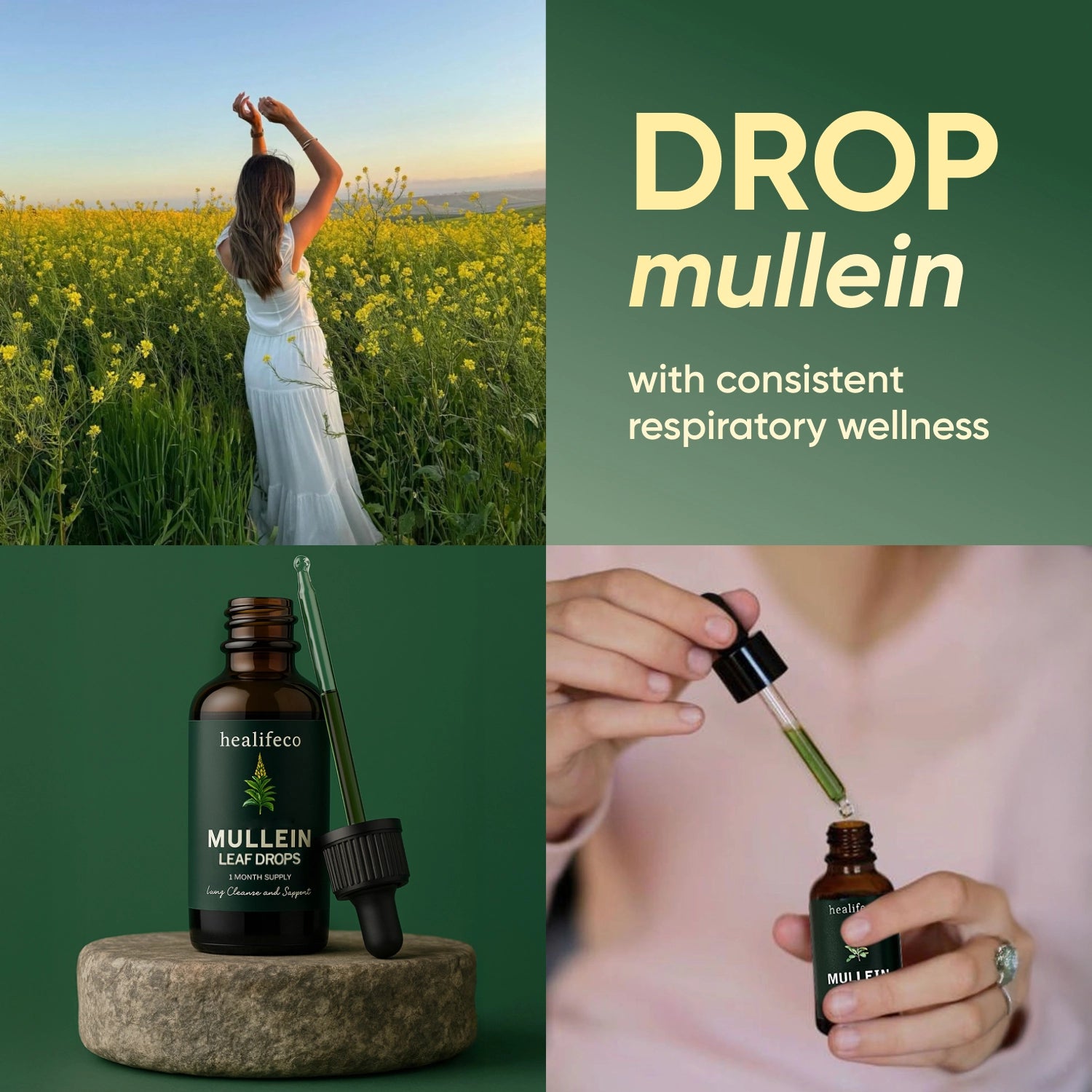 Healifeco Mullein Leaf Drops