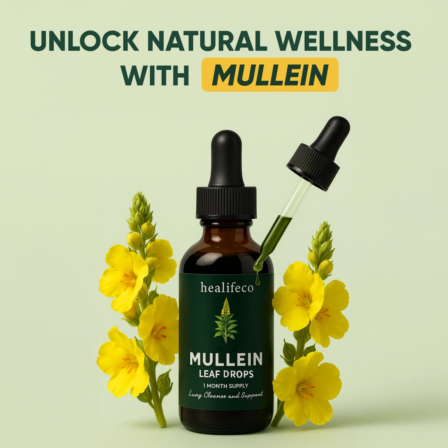 Healifeco Mullein Leaf Drops