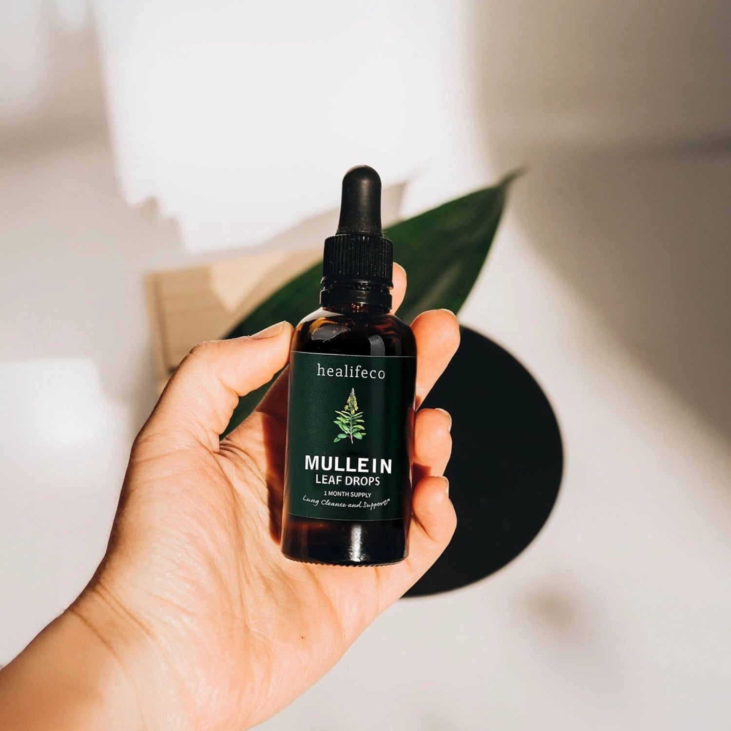 Healifeco Mullein Leaf Drops