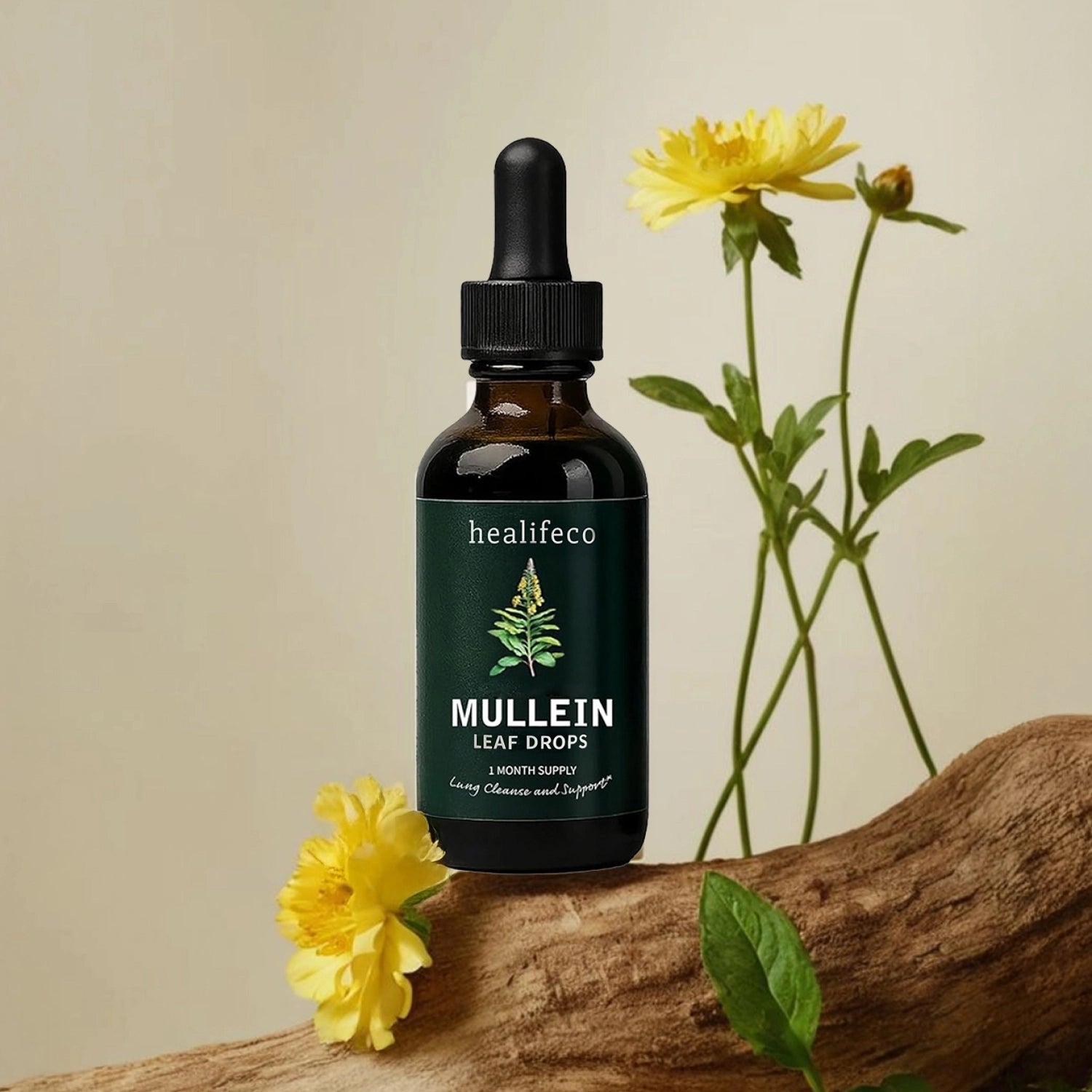 Healifeco Mullein Leaf Drops
