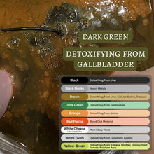 Load image into Gallery viewer, Healifeco Ionic Foot Spa | Remove Toxins and Heavy Metals for a Healthier Life