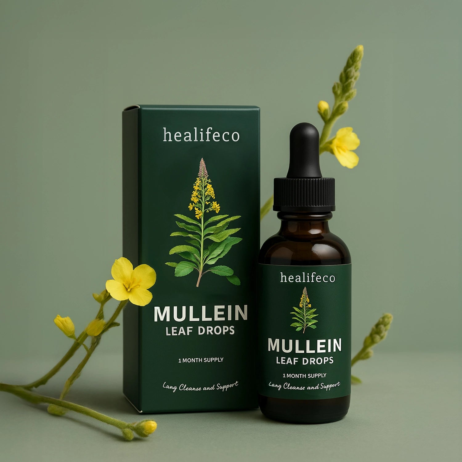 Healifeco Mullein Leaf Drops